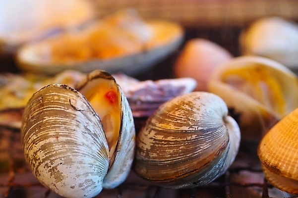 포토 JPG 음식 식재료 조개 어패류 사람없음 구이 해산물 조개구이 국내포토 동물 파일형식