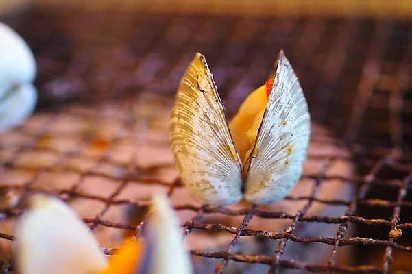 포토 JPG 음식 식재료 조개 어패류 사람없음 구이 해산물 조개구이 국내포토 동물 파일형식