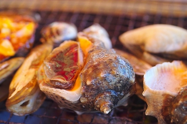 포토 JPG 음식 식재료 조개 어패류 사람없음 소라 구이 해산물 조개구이 국내포토 동물 파일형식