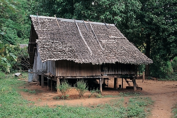 포토 JPG 주간 나무 시설물 건축 백그라운드 주택 사람없음 야외 건물 통나무집 나무집 국내포토 자연요소 식물 건축물 파일형식