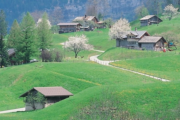 포토 JPG 주간 나무 식물 건축 백그라운드 자연 산 주택 풍경 사람없음 야외 마을 산마을 국내포토 자연요소 건물 생태계 파일형식