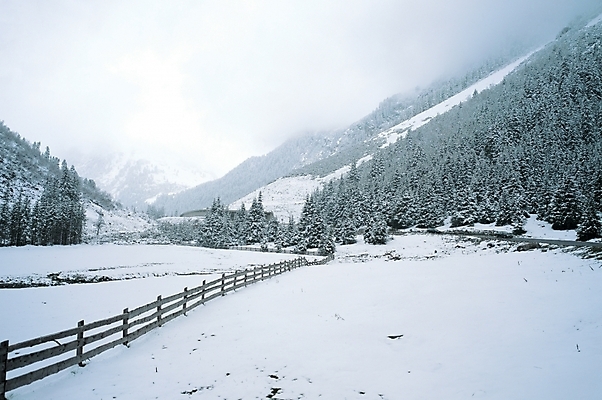 포토 JPG 주간 나무 식물 사계절 계절 건축 배경화면 백그라운드 설경 겨울 자연 산 풍경 사람없음 야외 울타리 눈 건축부분 대설 국내포토 자연요소 날씨 담장 절기 생태계 파일형식