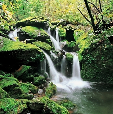 포토 JPG 주간 나무 식물 사계절 계절 배경화면 백그라운드 자연 산 이끼 풍경 사람없음 야외 초록색 연두색 여름 골짜기 계곡 폭포 암석 돌_바위 바위 대서 국내포토 자연요소 컬러 절기 생태계 파일형식