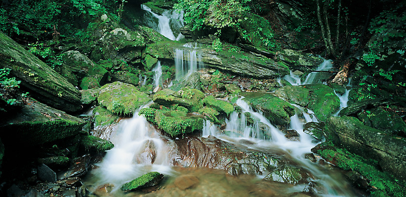 포토 JPG 주간 나무 식물 사계절 계절 배경화면 백그라운드 자연 산 이끼 풍경 사람없음 야외 초록색 연두색 여름 골짜기 계곡 폭포 암석 돌_바위 바위 국내포토 자연요소 컬러 생태계 파일형식