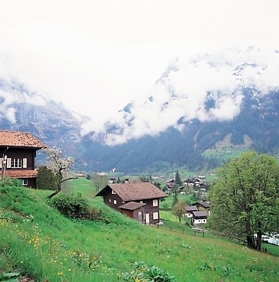 포토 JPG 주간 나무 구름 해외풍경 건축 백그라운드 자연 하늘 산 주택 풍경 초원 사람없음 야외 하이앵글 마을 산마을 국내포토 자연요소 식물 해외 뷰포인트 건물 생태계 파일형식