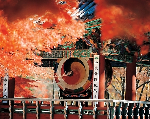 포토 JPG 주간 한국문화 한국전통 전통 건축 악기 음악 단풍 고건축 낙엽 단풍나무 타악기 국악기 사람없음 야외 북 정자 법고 국내포토 자연요소 나무 동양문화 건축물 잎 문화예술 한국 국악 파일형식