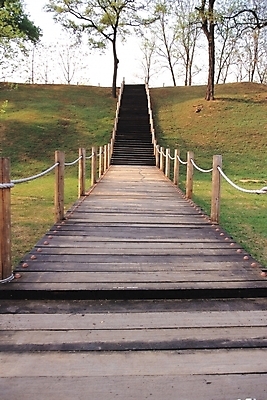 포토 JPG 주간 나무 공원 길 자연 풍경 잔디 사람없음 야외 계단 산책로 나무계단 올림픽공원 국내포토 자연요소 식물 공공시설 서울 생태계 파일형식