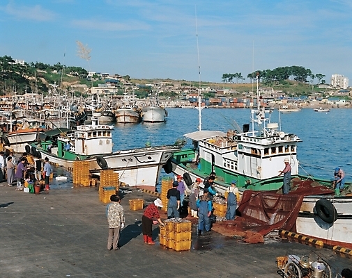 포토 JPG 주간 공공시설 산업 바다 섬 교통 수상교통 어업 사람 풍경 해변 야외 항구 어선 어부 해안도시 고깃배 선박 국내포토 자연요소 직업 교통수단 배_교통 교통시설 도시 시설 파일형식