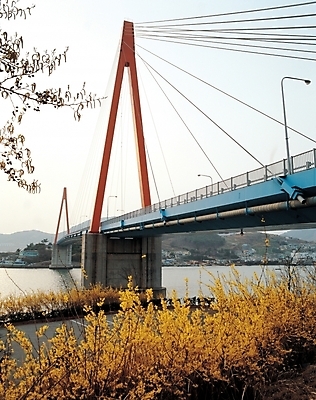 포토 JPG 주간 시설물 현대건축 건축 꽃 길 바다 풍경 사람없음 야외 개나리 돌산대교 가교 국내포토 자연요소 식물 건축물 다리_건축물 여수 파일형식