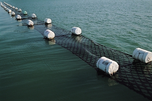 포토 JPG 주간 바다 어업 풍경 사람없음 야외 그물 수면 양식업 국내포토 자연요소 산업 물 파일형식
