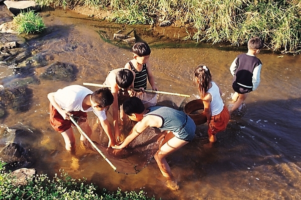 포토 JPG 주간 사계절 계절 여자 남자 어린이 자연 사람 소녀 소년 여러명 야외 여름 계곡 망 그물 개울 고기잡이 물고기잡이 어린이만 국내포토 자연요소 다수 어업 강 생태계 파일형식