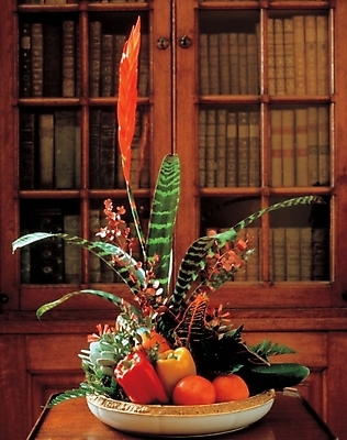 포토 JPG 식물 웰빙 꽃 채소 과일 탁자 나뭇잎 책장 실내 사람없음 장식 책 인테리어 꽃병 서재 꽃꽂이 관상식물 국내포토 디자인 가구 잎 내부 원예 파일형식