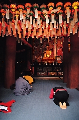 포토 JPG 시설물 기념일 건축 종교 고건축 불교 한국건축 종교건축 한국 실내 사람 동양건축 부처님오신날 사찰 불상 부처 연등 기림사 삼천불 국내포토 건축물 아시아 이벤트 내부 등불 경주_경상북도 불교용품 파일형식 동양