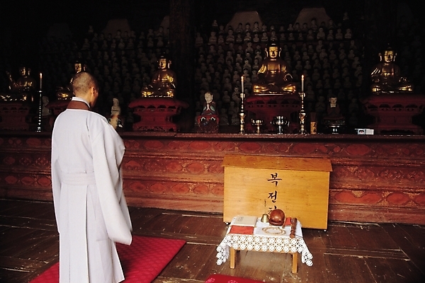 포토 JPG 시설물 기념일 건축 종교 고건축 불교 한국건축 종교건축 한국 실내 한명 동양건축 부처님오신날 사찰 승려 불상 부처 마곡사 국내포토 1 건축물 아시아 사람 이벤트 내부 성직자 공주 파일형식 동양