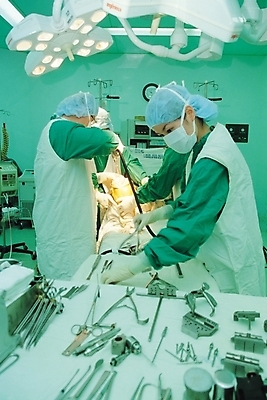 포토 JPG 여자 남자 의학 조명 실내 마스크 사람 성인 두명 치료 환자 의사 의료용품 가운 의사가운 수술 수술실 수술기구 성인만 국내포토 옷 의료기기 내부 의료진 파일형식