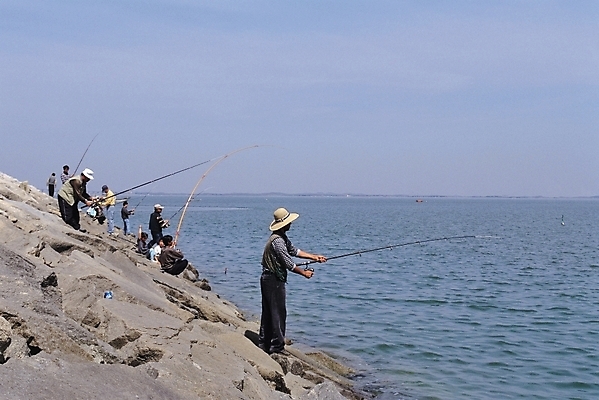 포토 JPG 주간 웰빙 남자 호수 자연 하늘 낚시 사람 풍경 여러명 취미 야외 레포츠 낚싯대 낚시꾼 삽교호 인공호수 남자만 국내포토 자연요소 다수 레저 낚시용품 생태계 파일형식 당진