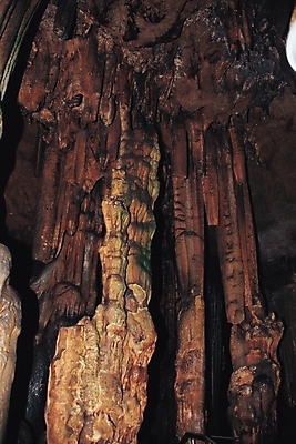 포토 JPG 시설물 건축 로우앵글 자연 사람없음 야외 돌_바위 굴 동굴 석회 성유굴 종유석 국내포토 건축물 뷰포인트 어패류 생태계 파일형식