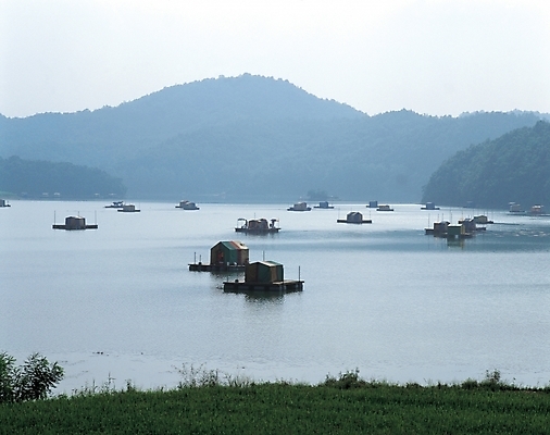 포토 JPG 주간 자연 산 풍경 사람없음 야외 강 저수지 낚시터 초평저수지 선박 국내포토 자연요소 수상교통 생태계 충청북도 파일형식