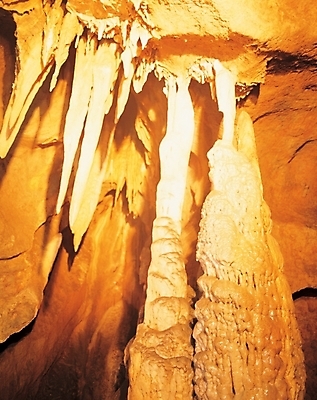 포토 JPG 시설물 건축 자연 실내 사람없음 돌_바위 굴 동굴 천장 석회 성류초 종유석 국내포토 건축물 어패류 내부 생태계 파일형식