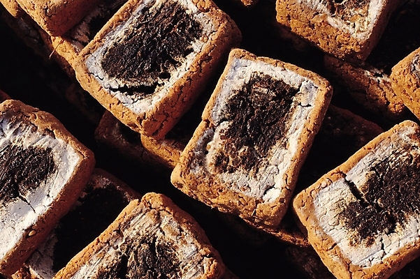 포토 JPG 한국문화 한국전통 한식 음식 식재료 콩 한국 사람없음 전통음식 양념 장 발효 메주 발효음식 곰팡이 국내포토 동양문화 전통 아시아 곡류 파일형식