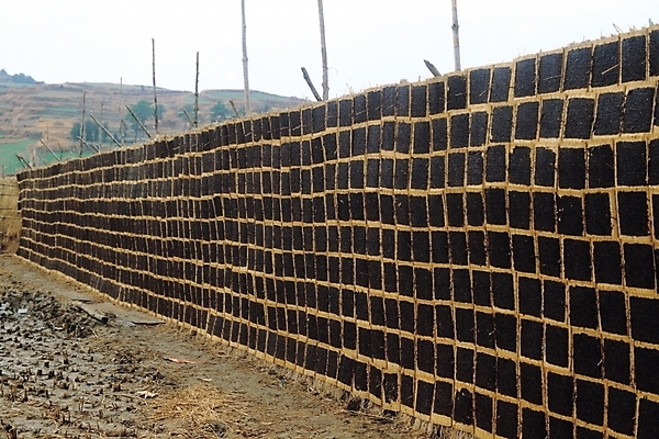 포토 JPG 주간 식물 산업 음식 건조 어업 풍경 사람없음 야외 해조류 해양식물 김 어촌 완도김 국내포토 자연요소 시골 수중식물 파일형식