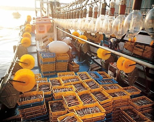 포토 JPG 주간 산업 바다 교통 수상교통 전구 조명 어업 사람없음 야외 상자 운송업 어선 오징어 오징어배 선박 국내포토 자연요소 교통수단 배_교통 연체동물 수중동물 파일형식