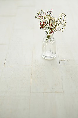 포토 JPG 스튜디오촬영 식물 꽃 백그라운드 유리병 실내 사람없음 꽃병 안개꽃 국내포토 병_용기 내부 한해살이풀 파일형식