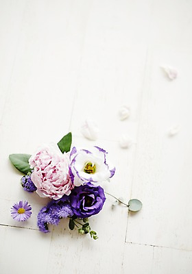 포토 JPG 스튜디오촬영 식물 꽃 백그라운드 잎 실내 사람없음 데이지 리시안셔스 작약 국내포토 내부 파일형식