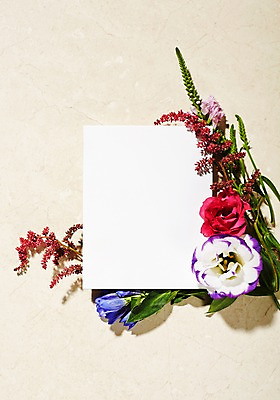 포토 JPG 스튜디오촬영 식물 꽃 종이 백그라운드 잎 프레임 실내 사람없음 리시안셔스 노루오줌 국내포토 카드프레임 내부 파일형식