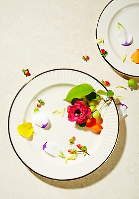 포토 JPG 스튜디오촬영 식물 접시 꽃 백그라운드 잎 실내 사람없음 수국 하이베리컴 국내포토 식기 내부 파일형식