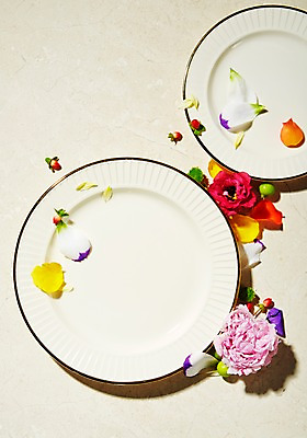 포토 JPG 스튜디오촬영 식물 접시 꽃 백그라운드 잎 실내 사람없음 수국 하이베리컴 국내포토 식기 내부 파일형식