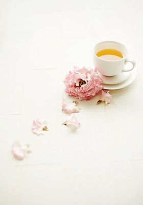 포토 JPG 스튜디오촬영 식물 꽃잎 꽃 백그라운드 티타임 실내 사람없음 찻잔 꽃차 국내포토 휴식 잔 내부 차_음료 파일형식