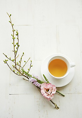 포토 JPG 스튜디오촬영 식물 꽃 백그라운드 잎 자연 티타임 실내 사람없음 나뭇가지 리시안셔스 낙산홍 국내포토 나무 휴식 내부 생태계 파일형식