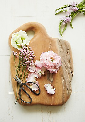 포토 JPG 스튜디오촬영 식물 꽃 백그라운드 잎 자연 가위 실내 사람없음 나무도마 리시안셔스 화초가위 낙산홍 국내포토 문구용품 도마 가위_도구 내부 목재 생태계 파일형식