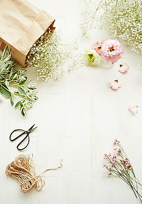 포토 JPG 스튜디오촬영 식물 꽃 백그라운드 잎 자연 가위 실내 사람없음 안개꽃 노끈 리시안셔스 화초가위 낙산홍 국내포토 줄 문구용품 가위_도구 내부 생태계 한해살이풀 파일형식