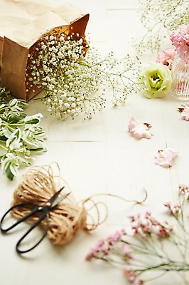 포토 JPG 스튜디오촬영 식물 꽃 백그라운드 잎 자연 가위 실내 사람없음 아웃포커스 안개꽃 노끈 리시안셔스 화초가위 낙산홍 국내포토 줄 문구용품 가위_도구 촬영기법 내부 생태계 한해살이풀 파일형식