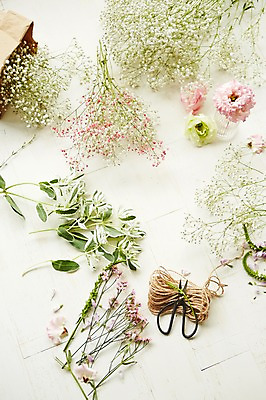 포토 JPG 스튜디오촬영 식물 꽃 백그라운드 잎 자연 가위 실내 사람없음 안개꽃 노끈 리시안셔스 화초가위 낙산홍 국내포토 줄 문구용품 가위_도구 내부 생태계 한해살이풀 파일형식