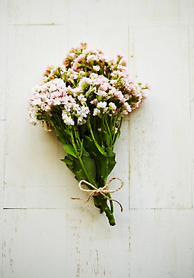 포토 JPG 스튜디오촬영 식물 꽃 꽃다발 백그라운드 잎 실내 사람없음 노끈 카랑코에 국내포토 줄 내부 파일형식