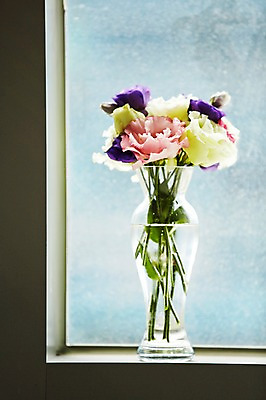 포토 JPG 스튜디오촬영 식물 꽃 배경화면 백그라운드 실내 사람없음 꽃병 창가 리시안셔스 국내포토 창문 내부 파일형식