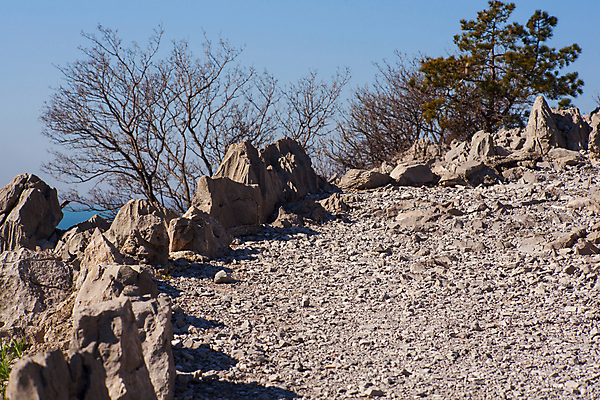 포토 JPG 해외이미지 도로 길 자국 건조 사람없음 지질학 해외202004 해외포토 교육 교통시설 파일형식 이미지허브
