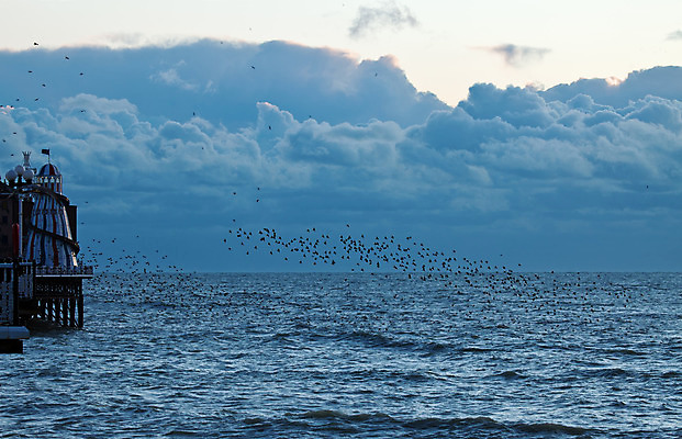 포토 JPG 해외이미지 구름 실루엣 야생동물 파도 바다 겨울 자연 하늘 사람없음 물 항구 황혼 일몰 추위 서식스 해외202004 해외포토 자연요소 동물 계절 교통시설 촬영기법 노을 생태계 파일형식 이미지허브