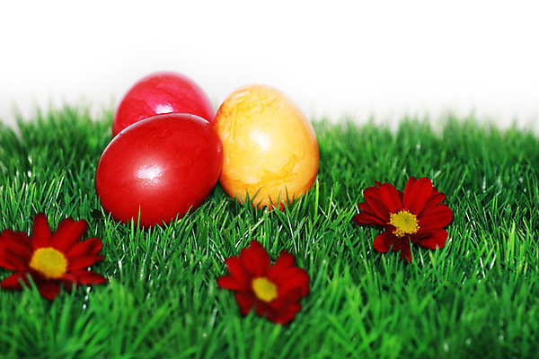 포토 JPG 해외이미지 전통 디자인 계절 꽃 행복 기독교 종교 음식 백그라운드 꽃무늬 패턴 자연 휴가 부활절 창조 선물 사람없음 장식 빨간색 초록색 컬러풀 계란 페인트 놀람 봄 흰색 축하 토끼 둥지 4월 수집 심볼 고립 해외202004 해외포토 식물 기념일 감정 컬러 컨셉 무늬 포유류 표정 반려동물 알 날짜 생태계 파일형식 이미지허브