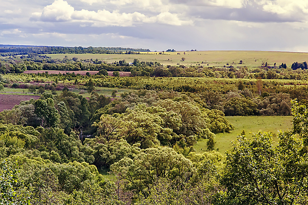포토 JPG 해외이미지 식물 구름 계절 공원 꽃 도로 지구 백그라운드 꽃무늬 밭 농업 자연 하늘 풍경 사람없음 야외 초록색 여름 농장 환경 정원 봄 수확 흰색 시골 밀 손목시계 생태학 수평선 해외202004 해외포토 자연요소 공공시설 교육 산업 길 시계 컬러 무늬 장신구 교통시설 곡류 생태계 파일형식 이미지허브