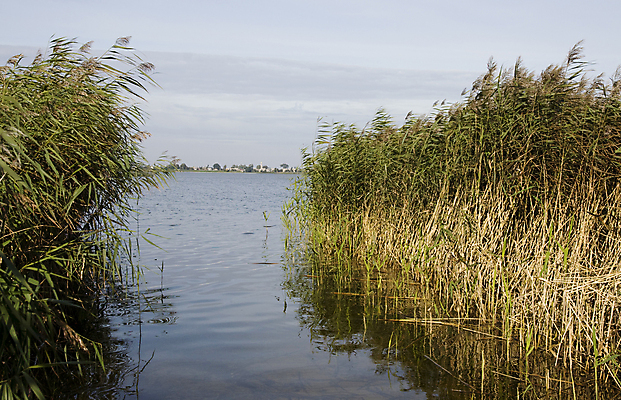 포토 JPG 해외이미지 호수 자연 하늘 날씨 휴가 풍경 사람없음 물 여름 파란색 반사 맑음 펼침 거울 바위 센터 중앙 대문 리투아니아 해외202004 해외포토 자연요소 계절 유럽 컬러 모션 문 돌_바위 생태계 파일형식 이미지허브