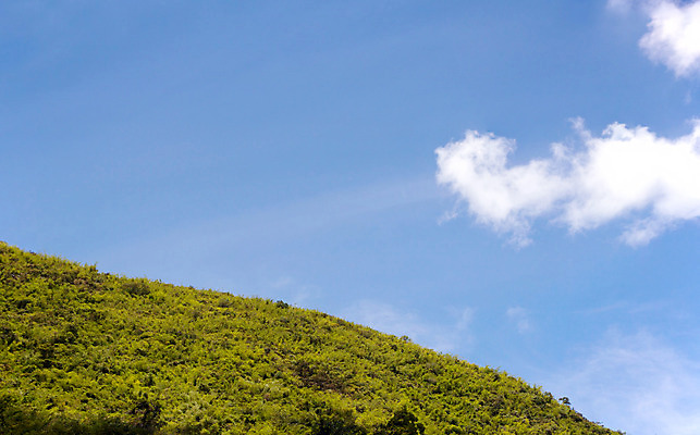 포토 JPG 해외이미지 식물 구름 계절 백그라운드 자연 하늘 풍경 잔디 사람없음 야외 초록색 여름 파란색 햇빛 태양 맑음 봄 활발 시골 신선 땅 장면 천국 내추럴 완벽 파라다이스 평야 수평선 해외202004 해외포토 자연요소 컬러 컨셉 날씨 생태계 파일형식 이미지허브