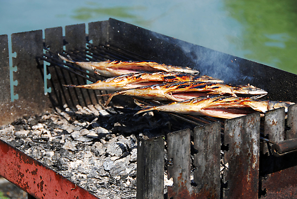 포토 JPG 해외이미지 접시 자연 어류 요리 사람없음 야외 갈색 금속 튀김 오픈 4 그릴 바비큐 굽기 해산물 냄새 창살 고등어 숯 훈제 내추럴 해외202004 해외포토 식기 음식 컬러 재질 주방용품 숫자 수중동물 구이 생태계 파일형식 이미지허브