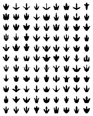 EPS 해외이미지 모양 동물 모델 디자인 실루엣 야생동물 백그라운드 컨셉 일러스트 파충류 생물 그래픽 라벨 위험 큼 공격 발자국 만화 자르기 사인 공룡 육식동물 사냥꾼 멸종 선사시대 우표 고립 공격적 몬스터 쥬라기 해외202004 해외일러스트 직업 자국 모션 프레임 촬영기법 역사 크기 파일형식 벡터 이미지허브