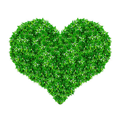 포토 JPG 해외이미지 식물 디자인 계절 지구 백그라운드 컨셉 잎 밭 자연 벽지 추상 아이디어 창조 사랑 미술 풍경 잔디 사람없음 그래픽 장식 초록색 여름 지구본 3D 환경 봄 에너지 흰색 하트 신선 땅 오브젝트 싱글 질감 만들기 열정 내추럴 고립 여의주 스타일 해외202004 해외포토 모양 감정 컬러 무늬 농업 모션 문화예술 디지털합성 생태계 파일형식 이미지허브