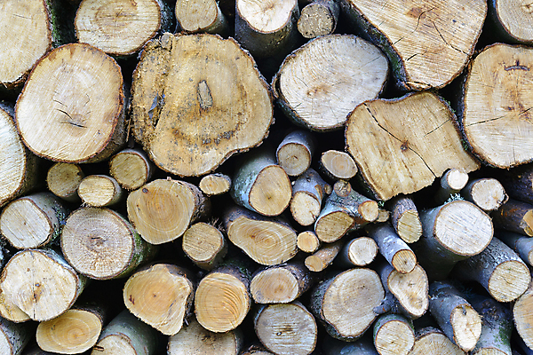 포토 JPG 해외이미지 나무 식물 계절 산업 벽 백그라운드 패턴 자연 불 추상 풍경 사람없음 야외 목재 갈색 쌓기 환경 재활용 에너지 성장 시골 반지 소나무 뜨거움 원형 거친 그룹 주식 숲 자르기 묘사 오브젝트 벽난로 질감 날것 통나무 연료 잡동사니 내추럴 벌목 수목 해외202004 해외포토 자연요소 도형 컬러 무늬 재료 장신구 모션 금융 친환경 생태계 파일형식 이미지허브