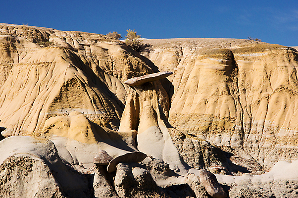 포토 JPG 해외이미지 공원 자연 국립공원 풍경 사람없음 미국 사막 가을 바위 사암 10월 뉴멕시코 서쪽 지질학 해외202004 해외포토 계절 공공시설 교육 북아메리카 돌_바위 날짜 방향 생태계 파일형식 이미지허브